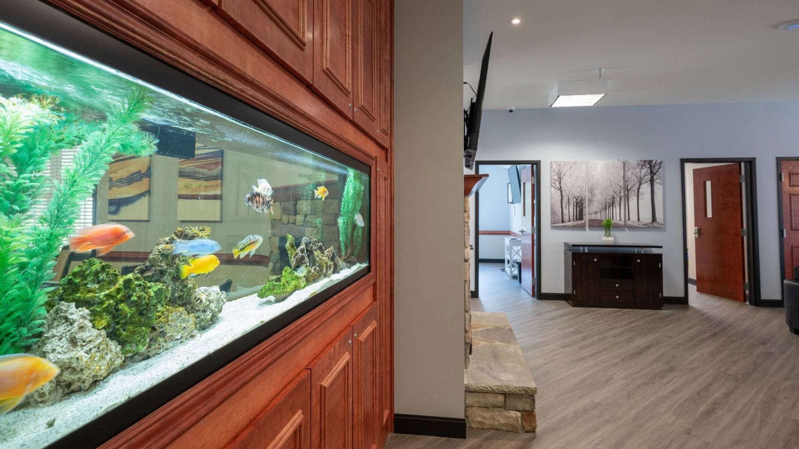 Aquarium in Common Area